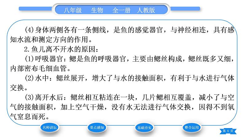 人教版八年级生物上第五单元生物圈中的其他生物第一章动物的主要类群第四节鱼习题课件05