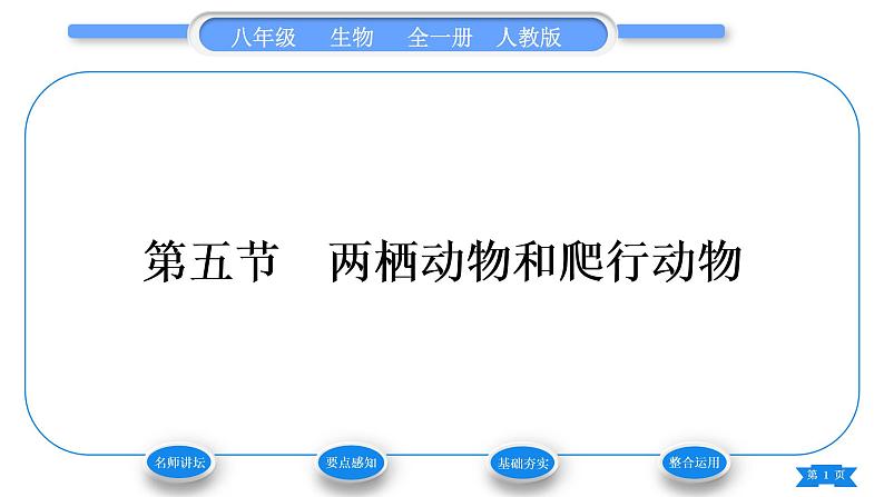 人教版八年级生物上第五单元生物圈中的其他生物第一章动物的主要类群第五节两栖动物和爬行动物习题课件01