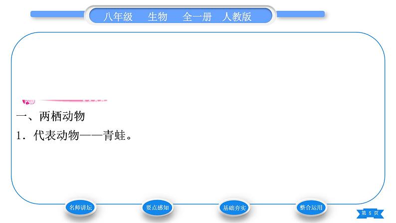 人教版八年级生物上第五单元生物圈中的其他生物第一章动物的主要类群第五节两栖动物和爬行动物习题课件05