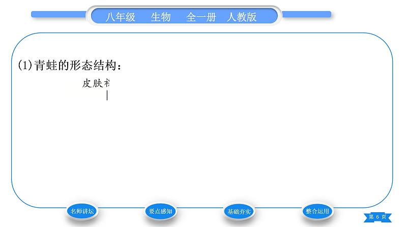 人教版八年级生物上第五单元生物圈中的其他生物第一章动物的主要类群第五节两栖动物和爬行动物习题课件06