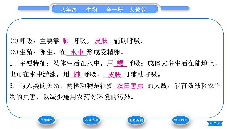 人教版八年级生物上第五单元生物圈中的其他生物第一章动物的主要类群第五节两栖动物和爬行动物习题课件07