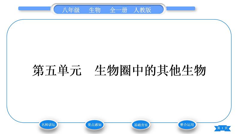 人教版八年级生物上第五单元生物圈中的其他生物第一章动物的主要类群第一节腔肠动物和扁形动物习题课件01