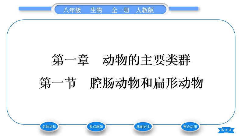 人教版八年级生物上第五单元生物圈中的其他生物第一章动物的主要类群第一节腔肠动物和扁形动物习题课件02