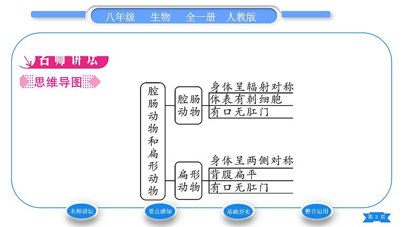 人教版八年级生物上第五单元生物圈中的其他生物第一章动物的主要类群第一节腔肠动物和扁形动物习题课件03