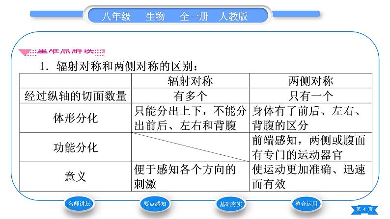 人教版八年级生物上第五单元生物圈中的其他生物第一章动物的主要类群第一节腔肠动物和扁形动物习题课件04