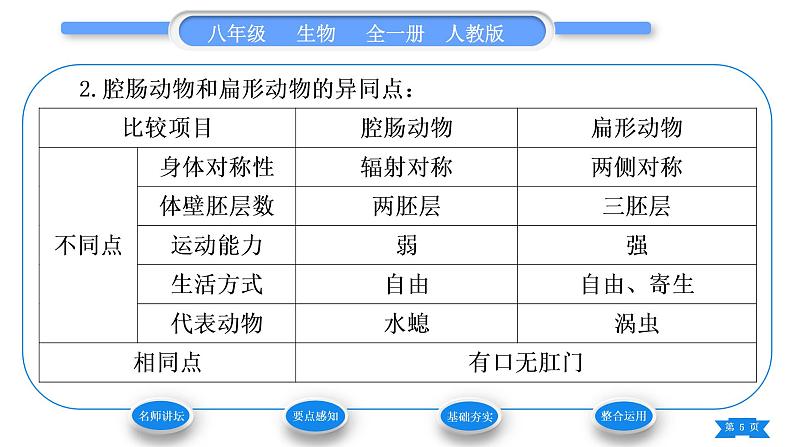 人教版八年级生物上第五单元生物圈中的其他生物第一章动物的主要类群第一节腔肠动物和扁形动物习题课件05