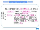 人教版八年级生物上第五单元生物圈中的其他生物第二、三章复习与提升习题课件