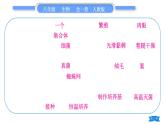 人教版八年级生物上第五单元生物圈中的其他生物第四、五章复习与提升习题课件