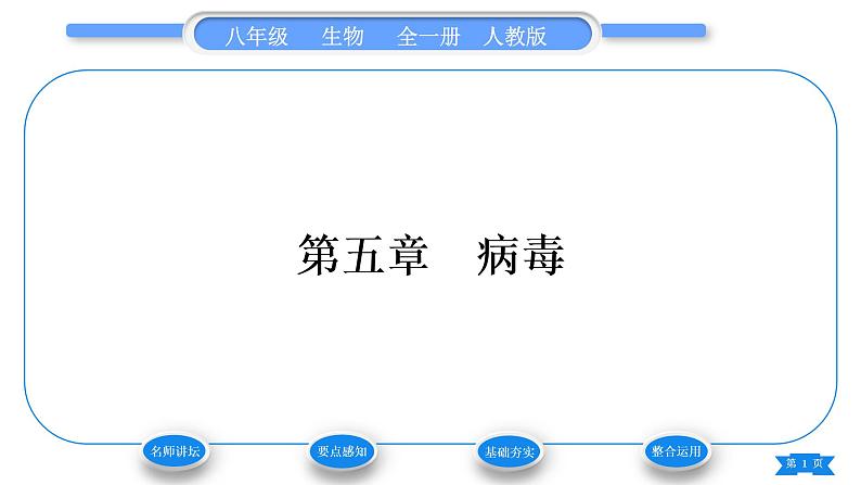 人教版八年级生物上第五单元生物圈中的其他生物第五章病毒习题课件01