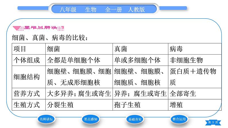 人教版八年级生物上第五单元生物圈中的其他生物第五章病毒习题课件第3页