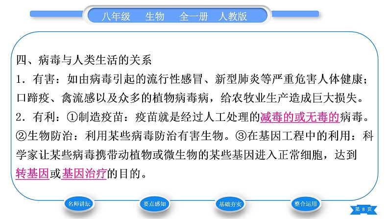 人教版八年级生物上第五单元生物圈中的其他生物第五章病毒习题课件第8页