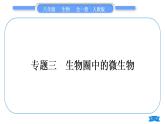 人教版八年级生物上第五单元生物圈中的其他生物专题三生物圈中的微生物习题课件