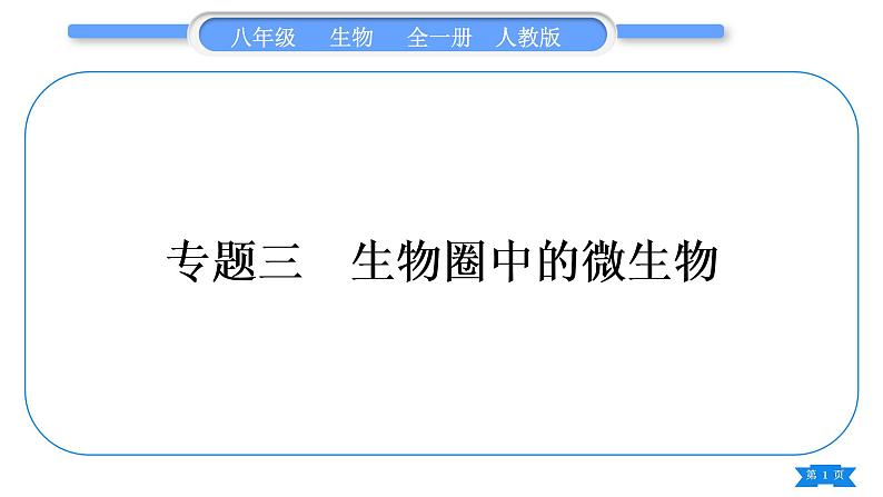 人教版八年级生物上第五单元生物圈中的其他生物专题三生物圈中的微生物习题课件01