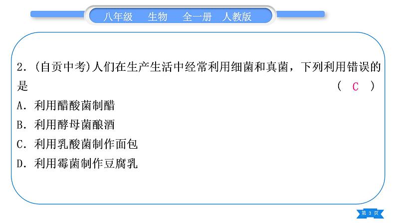 人教版八年级生物上第五单元生物圈中的其他生物专题三生物圈中的微生物习题课件03