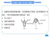 人教版八年级生物上第五单元生物圈中的其他生物专题一动物的分类与特点习题课件