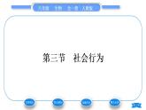 人教版八年级生物上第五单元生物圈中的其他生物第二章动物的运动和行为第三节社会行为习题课件