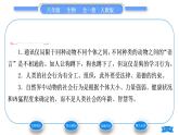 人教版八年级生物上第五单元生物圈中的其他生物第二章动物的运动和行为第三节社会行为习题课件