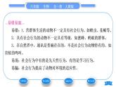 人教版八年级生物上第五单元生物圈中的其他生物第二章动物的运动和行为第三节社会行为习题课件