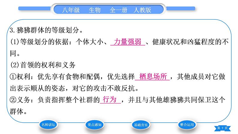 人教版八年级生物上第五单元生物圈中的其他生物第二章动物的运动和行为第三节社会行为习题课件07