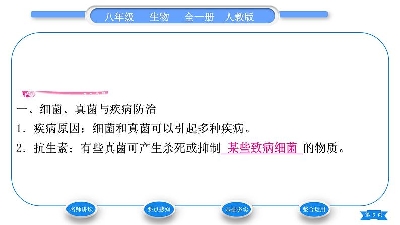 人教版八年级生物上第五单元生物圈中的其他生物第四章细菌和真菌第五节人类对细菌和真菌的利用第2课时细菌、真菌与疾病防治　清洁能源和环境保护习题课件05