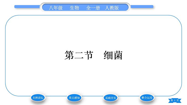 人教版八年级生物上第五单元生物圈中的其他生物第四章细菌和真菌第二节细菌习题课件01