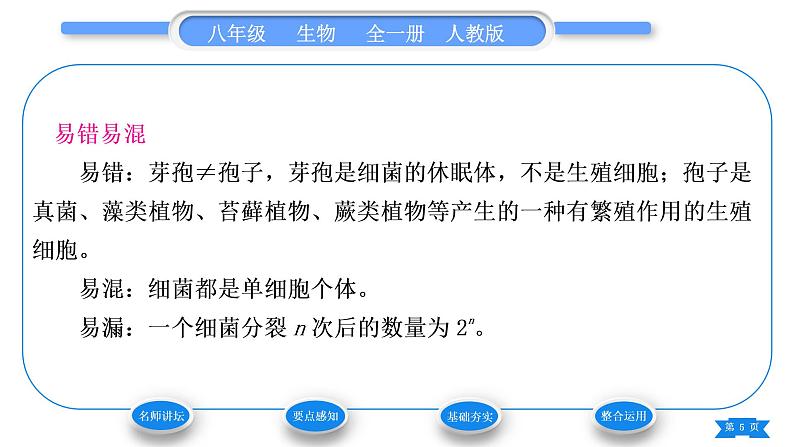 人教版八年级生物上第五单元生物圈中的其他生物第四章细菌和真菌第二节细菌习题课件05