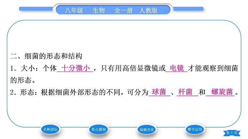 人教版八年级生物上第五单元生物圈中的其他生物第四章细菌和真菌第二节细菌习题课件07