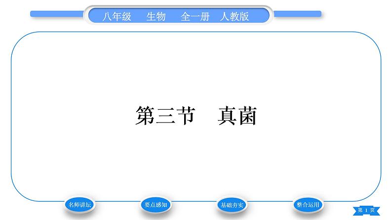 人教版八年级生物上第五单元生物圈中的其他生物第四章细菌和真菌第三节真菌习题课件01