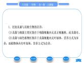 人教版八年级生物上第五单元生物圈中的其他生物第四章细菌和真菌第三节真菌习题课件