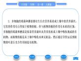 人教版八年级生物上第五单元生物圈中的其他生物第四章细菌和真菌第三节真菌习题课件