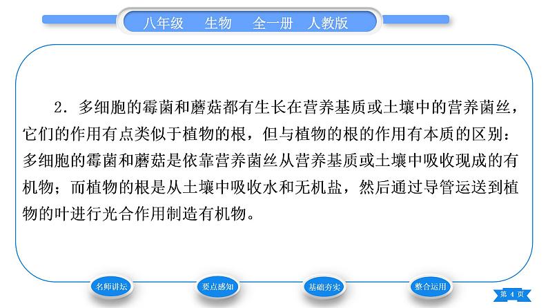 人教版八年级生物上第五单元生物圈中的其他生物第四章细菌和真菌第三节真菌习题课件04