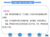 人教版八年级生物上第五单元生物圈中的其他生物第四章细菌和真菌第三节真菌习题课件