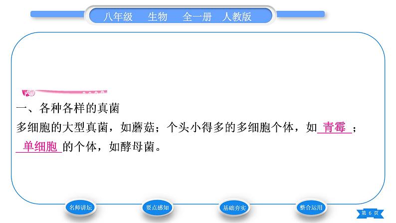 人教版八年级生物上第五单元生物圈中的其他生物第四章细菌和真菌第三节真菌习题课件06