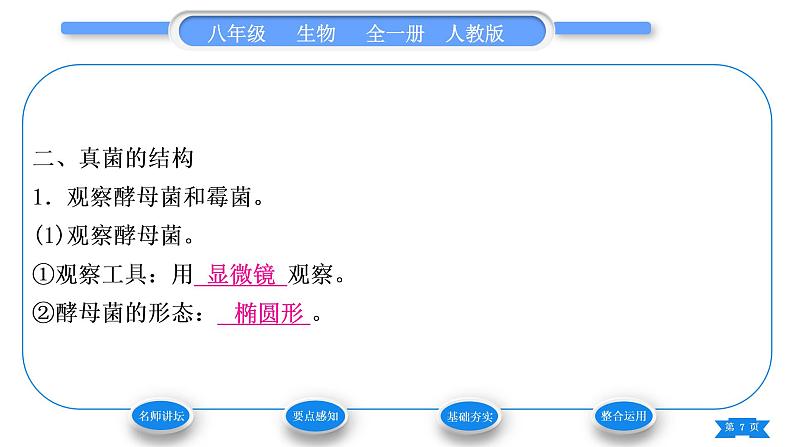 人教版八年级生物上第五单元生物圈中的其他生物第四章细菌和真菌第三节真菌习题课件07
