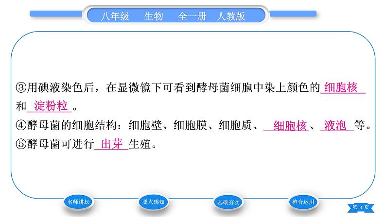 人教版八年级生物上第五单元生物圈中的其他生物第四章细菌和真菌第三节真菌习题课件08