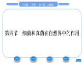 人教版八年级生物上第五单元生物圈中的其他生物第四章细菌和真菌第四节细菌和真菌在自然界中的作用习题课件