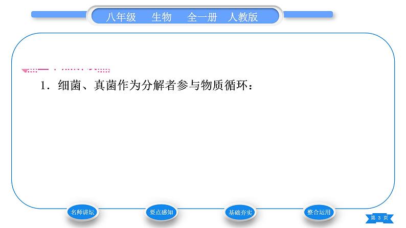 人教版八年级生物上第五单元生物圈中的其他生物第四章细菌和真菌第四节细菌和真菌在自然界中的作用习题课件03