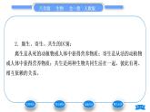 人教版八年级生物上第五单元生物圈中的其他生物第四章细菌和真菌第四节细菌和真菌在自然界中的作用习题课件
