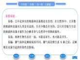 人教版八年级生物上第五单元生物圈中的其他生物第四章细菌和真菌第四节细菌和真菌在自然界中的作用习题课件