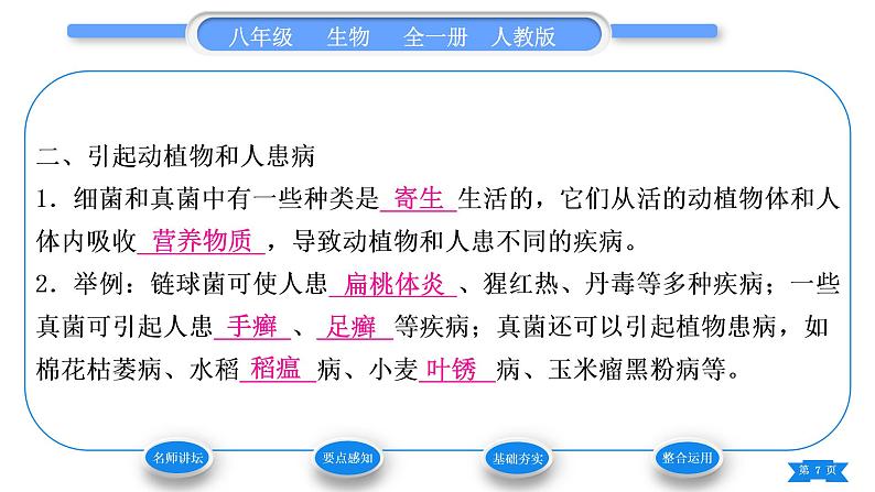 人教版八年级生物上第五单元生物圈中的其他生物第四章细菌和真菌第四节细菌和真菌在自然界中的作用习题课件07