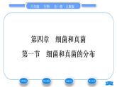 人教版八年级生物上第五单元生物圈中的其他生物第四章细菌和真菌第一节细菌和真菌的分布习题课件