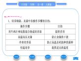 人教版八年级生物上第五单元生物圈中的其他生物第四章细菌和真菌第一节细菌和真菌的分布习题课件