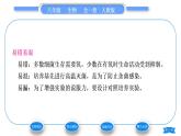 人教版八年级生物上第五单元生物圈中的其他生物第四章细菌和真菌第一节细菌和真菌的分布习题课件