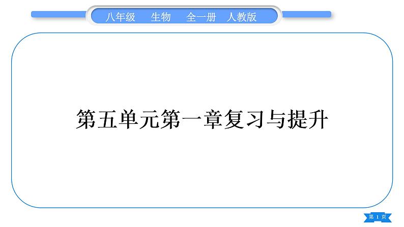 人教版八年级生物上第五单元生物圈中的其他生物第一章复习与提升习题课件01