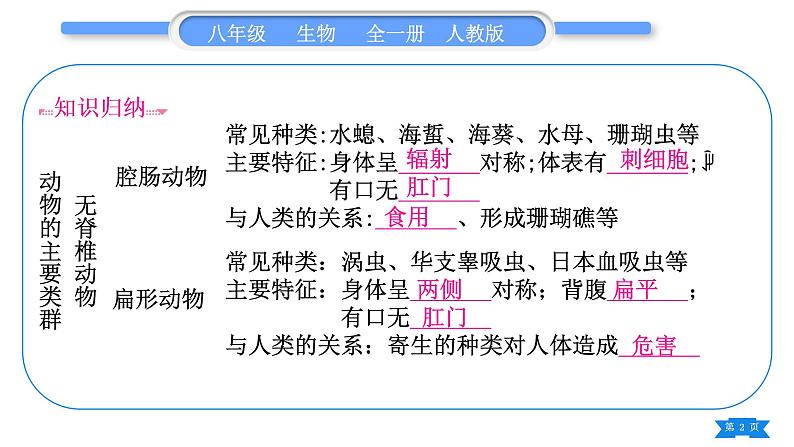 人教版八年级生物上第五单元生物圈中的其他生物第一章复习与提升习题课件02