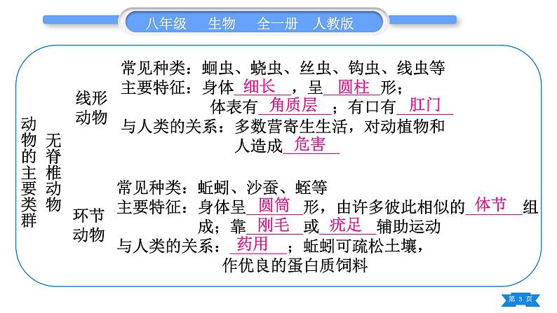 人教版八年级生物上第五单元生物圈中的其他生物第一章复习与提升习题课件03