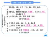 人教版八年级生物上第五单元生物圈中的其他生物第一章复习与提升习题课件