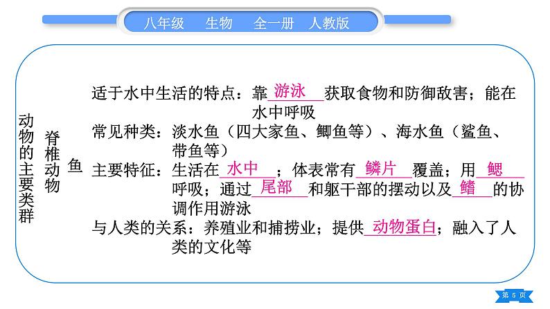 人教版八年级生物上第五单元生物圈中的其他生物第一章复习与提升习题课件05