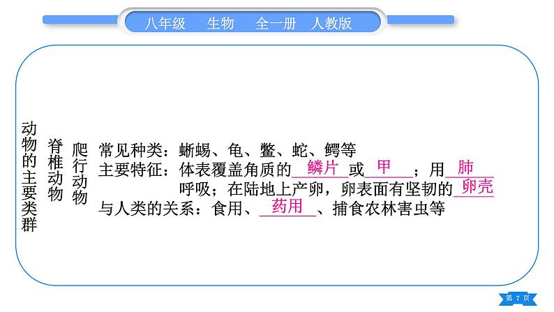 人教版八年级生物上第五单元生物圈中的其他生物第一章复习与提升习题课件07