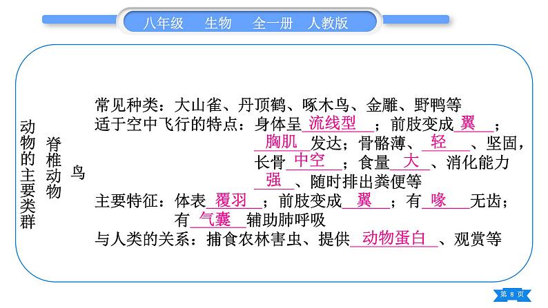 人教版八年级生物上第五单元生物圈中的其他生物第一章复习与提升习题课件08